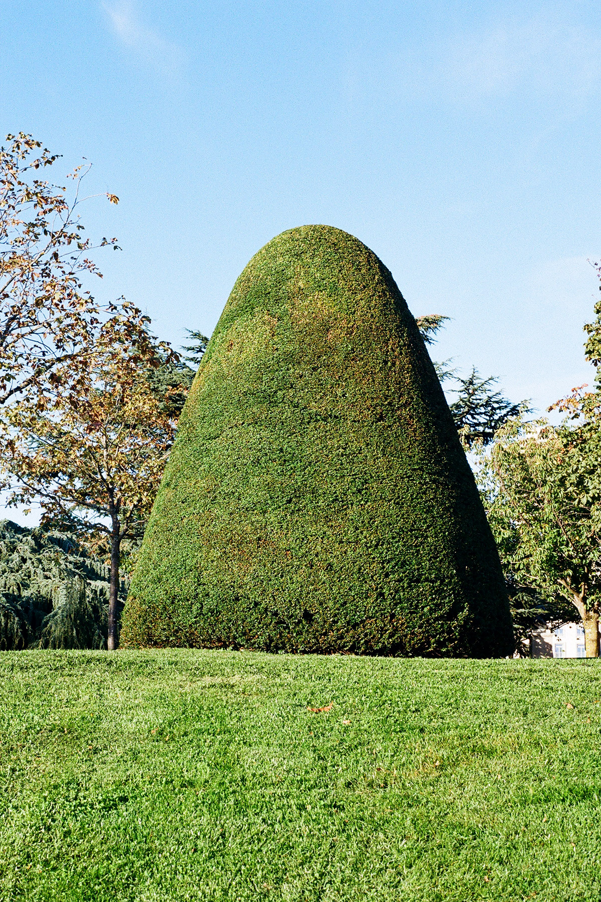 B0019 19