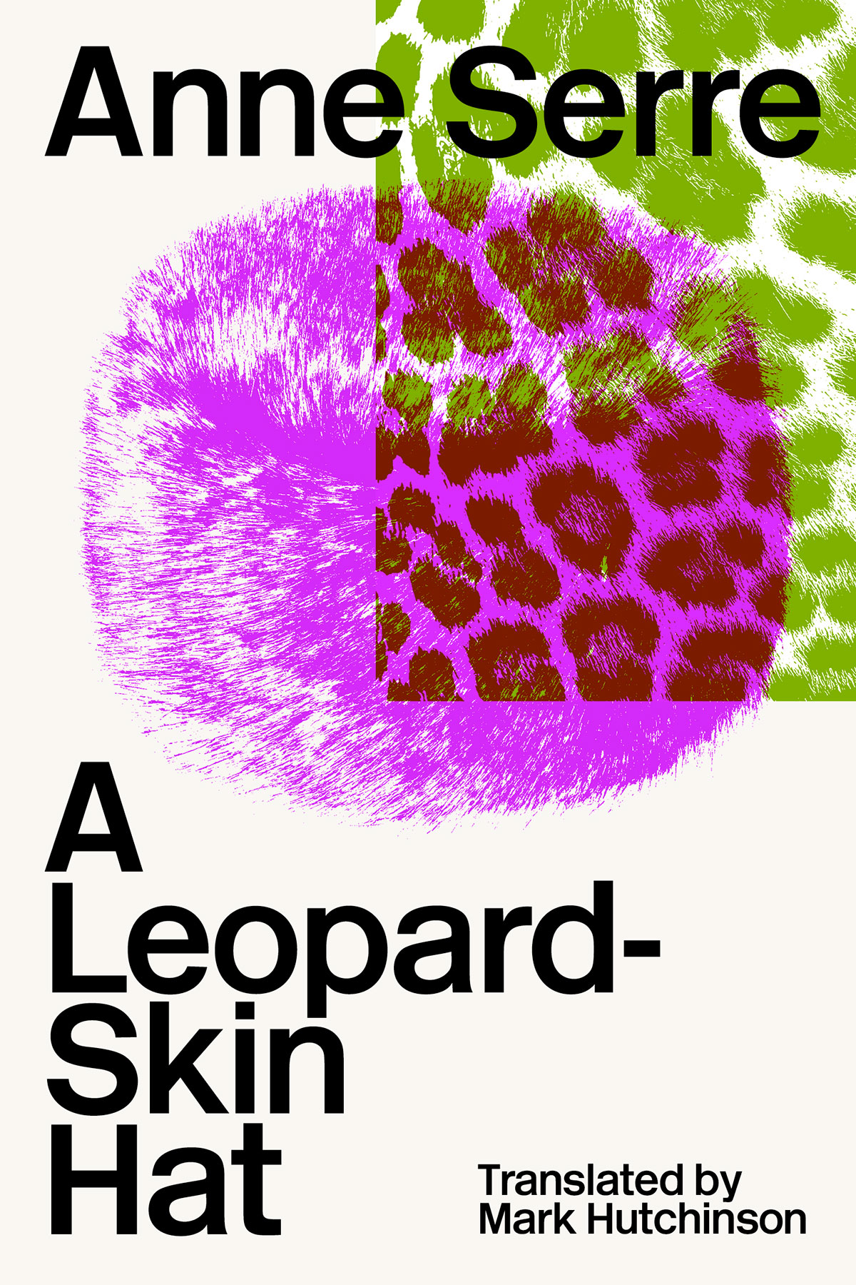 Anne Serre Cover