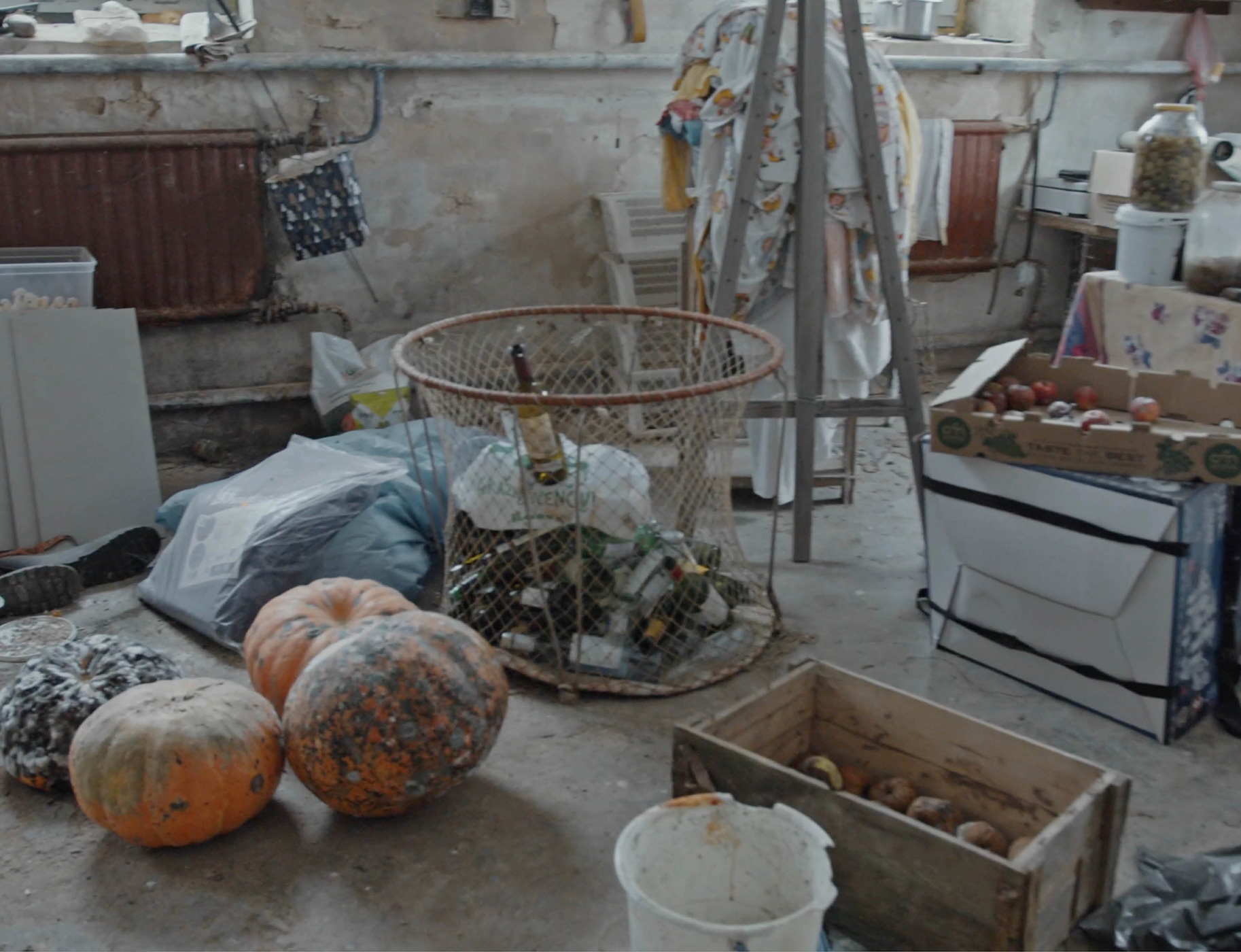 136 141 Feature Lithuania9