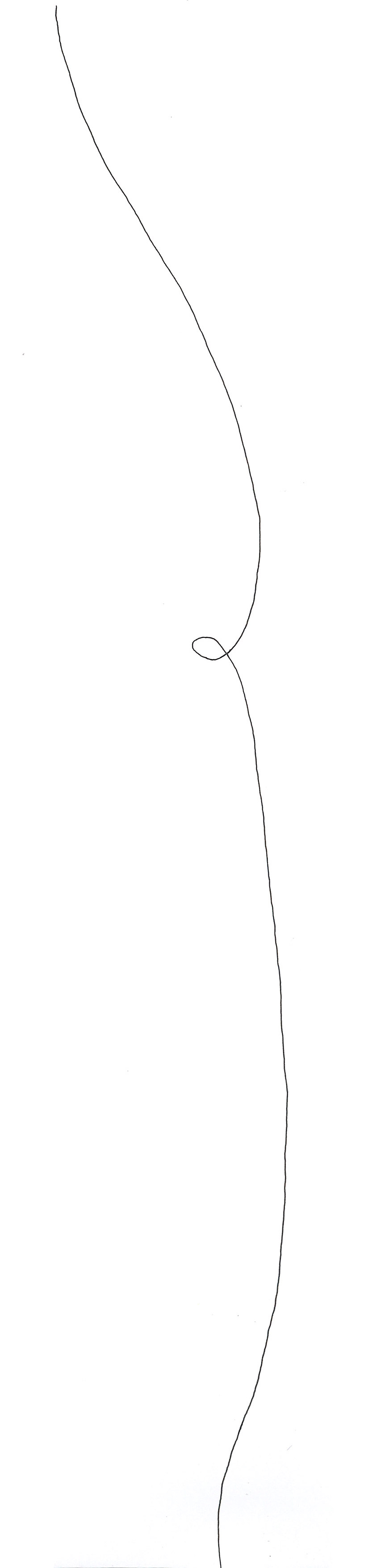 Fine Lines 5