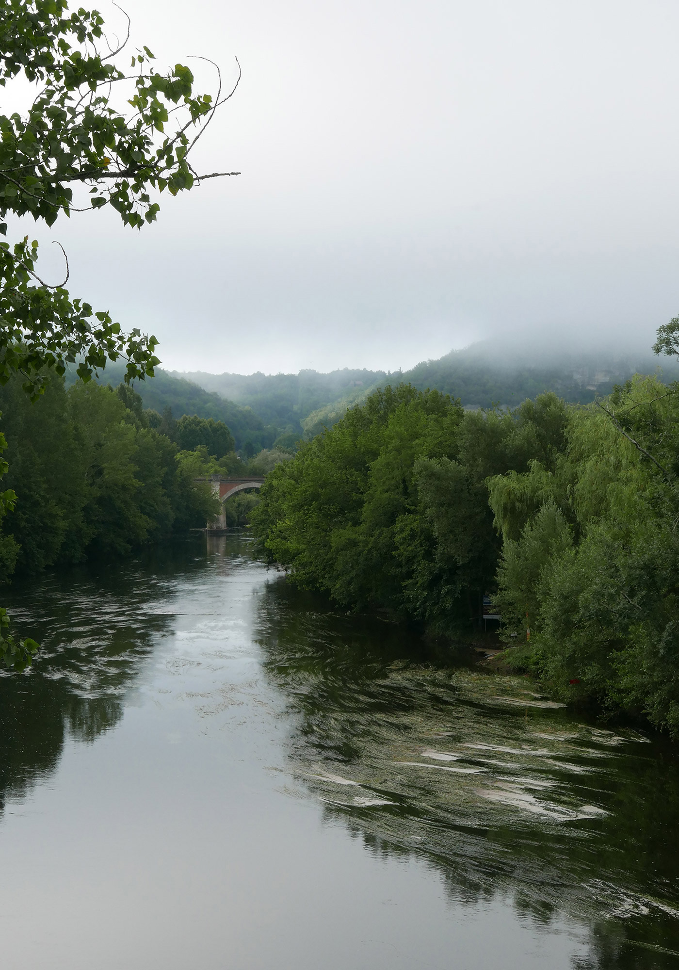 P1090045 2