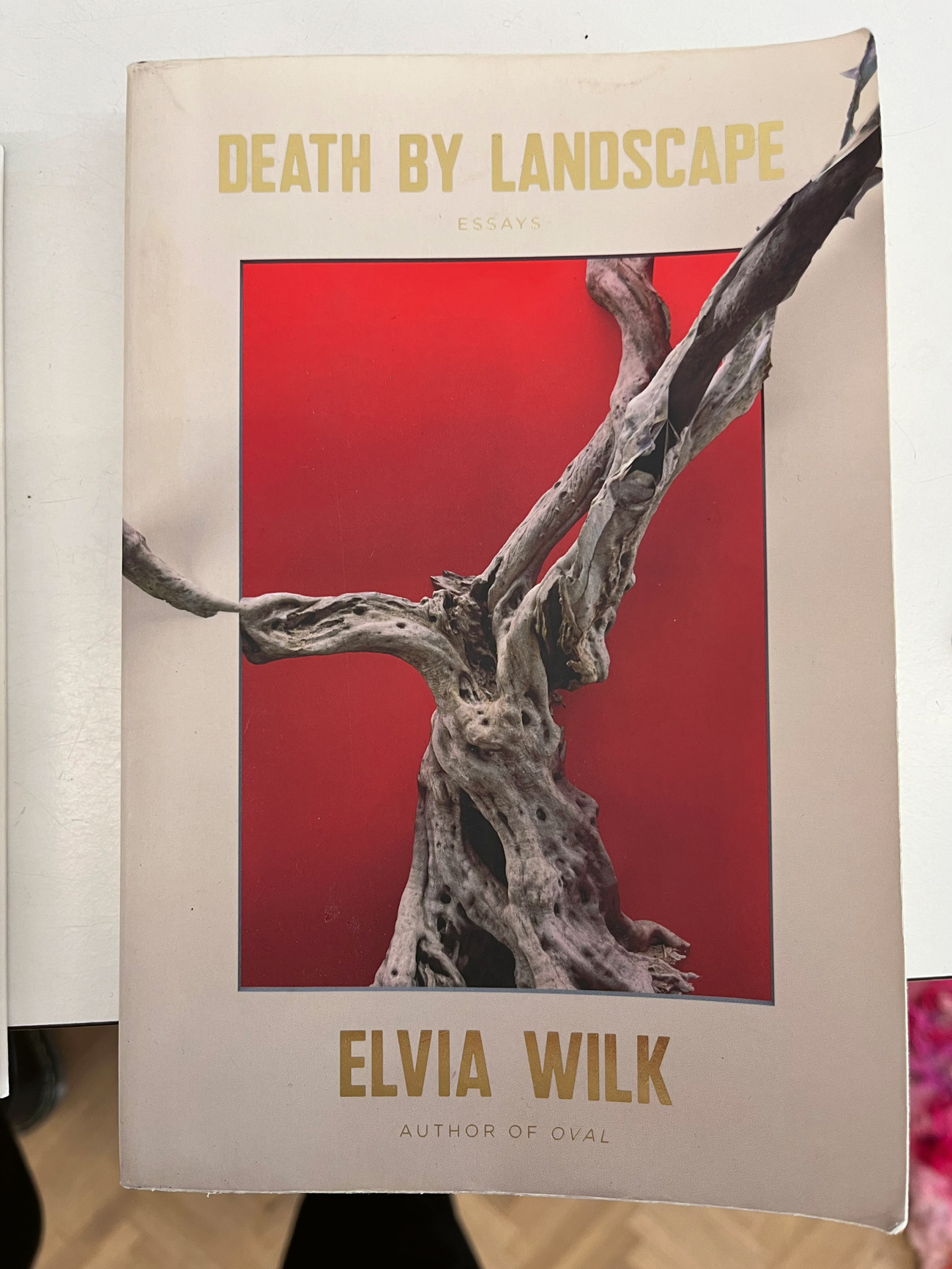 Wilk Web