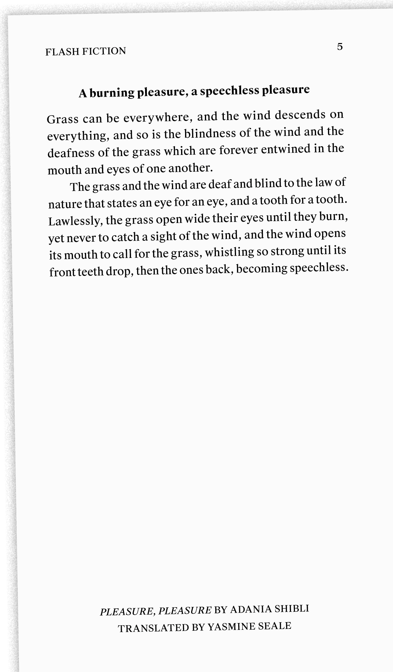 231 Flash Fiction