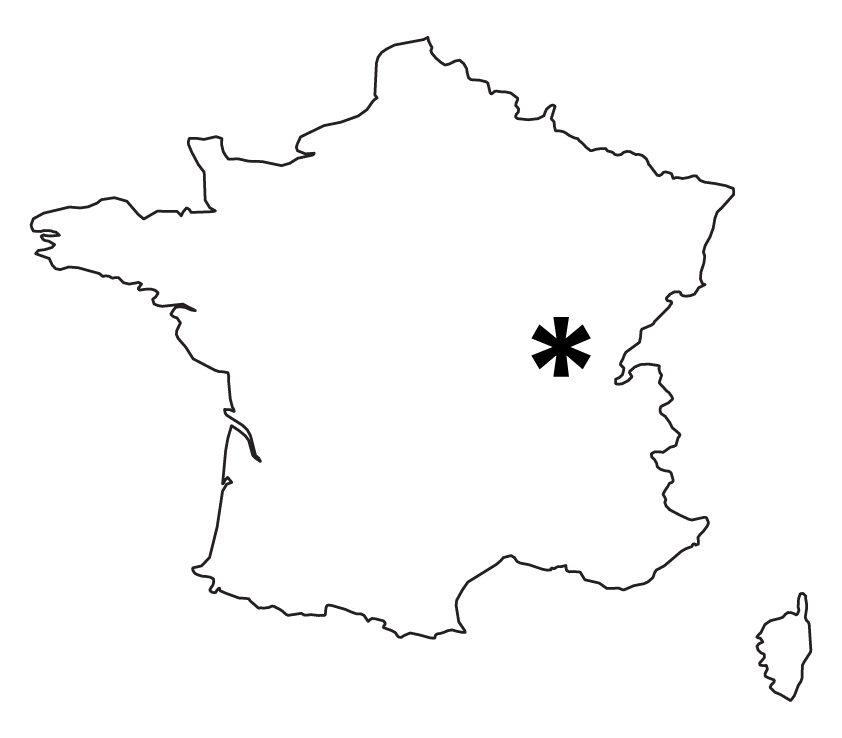 Travelissuemaps3
