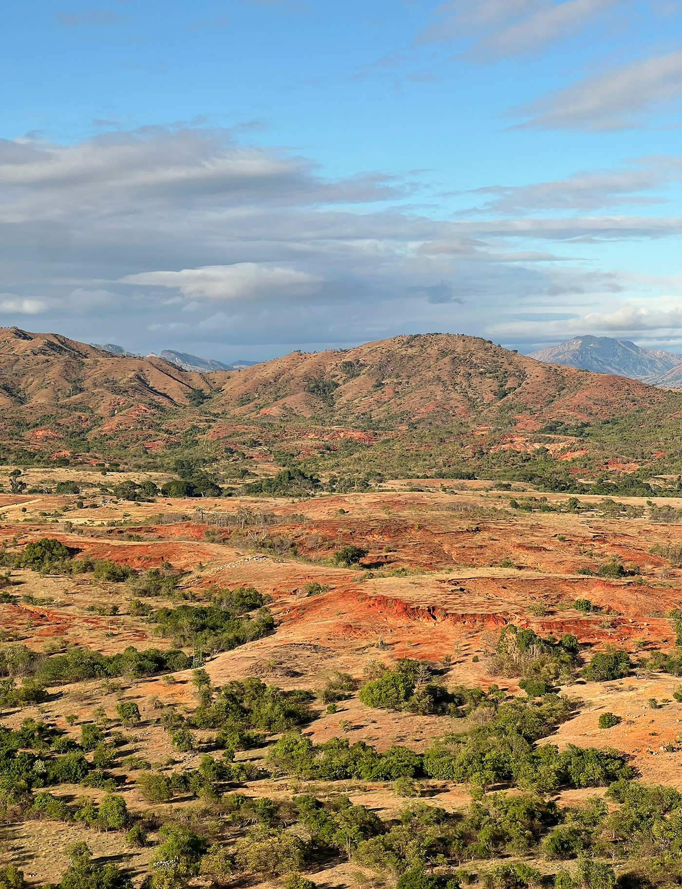 220 227 Feat Madagascar7