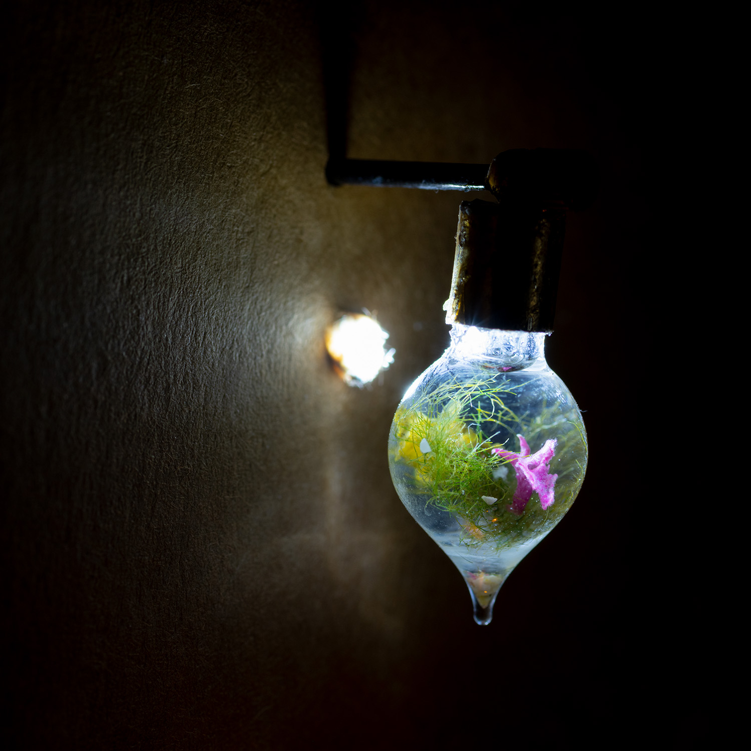 03 KASIA MOLGA HOWTOMAKEANOCEAN © Werkleitz&Kasiamolga Fotofalkwenzel