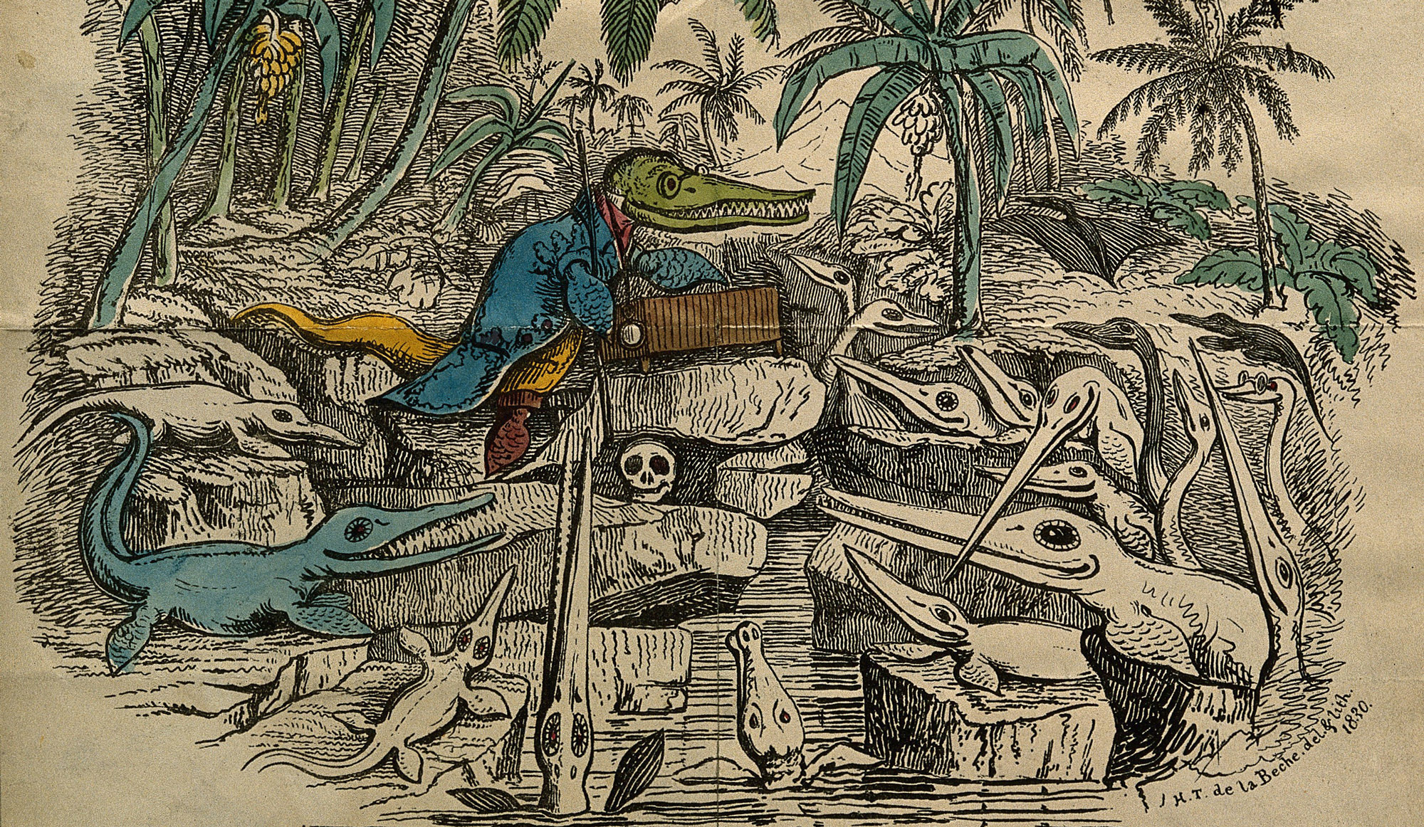 Ichthyosaurus CMYK