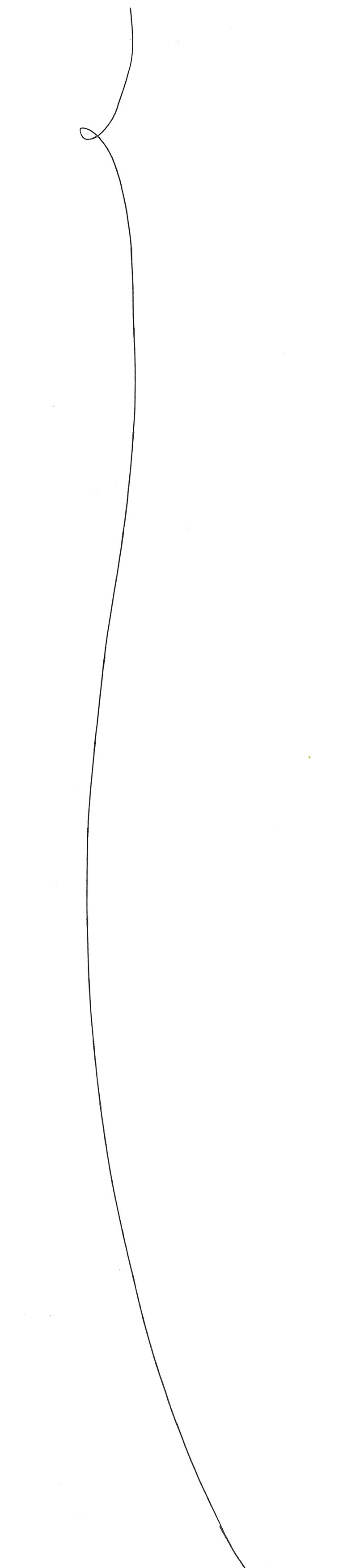 Fine Lines 4