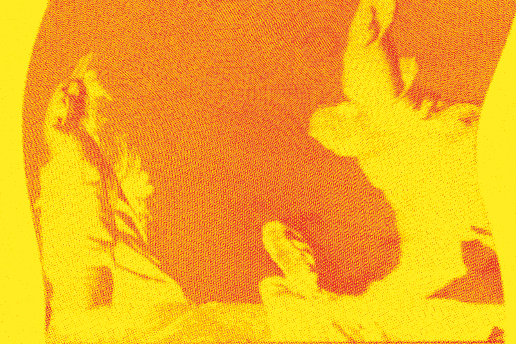PRINTING 1 CMYK