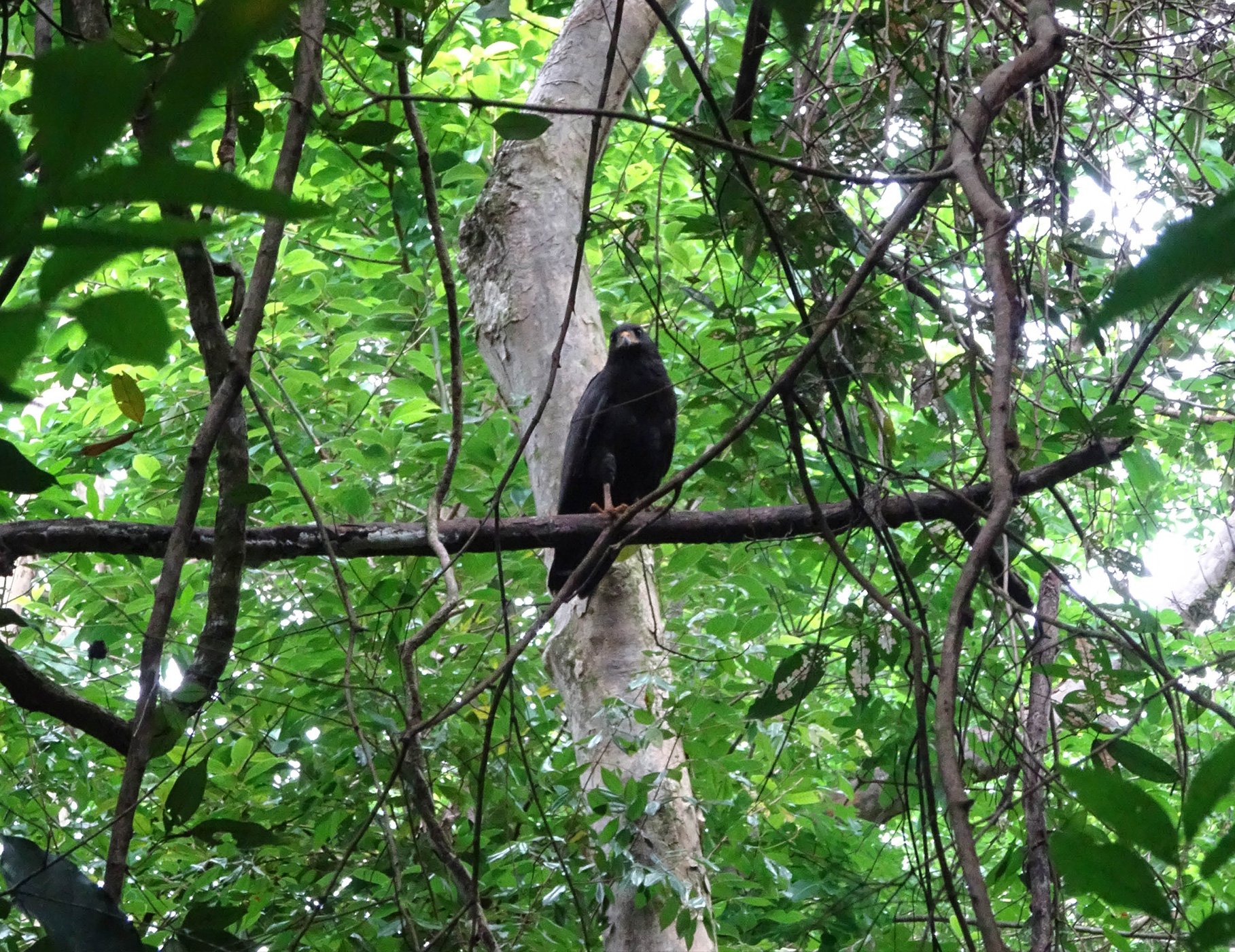 070 079 Feature Panama5