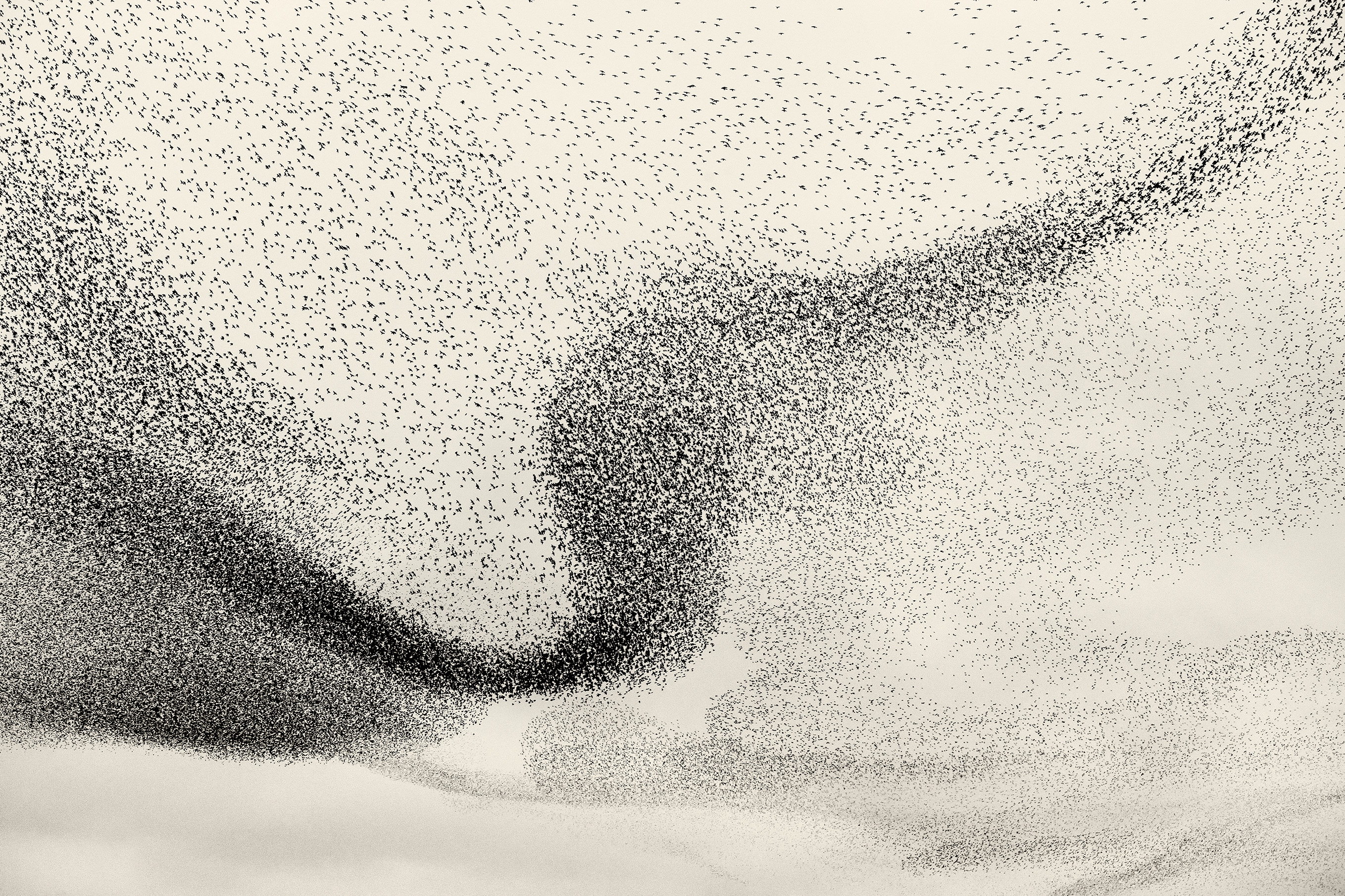 X6I0581