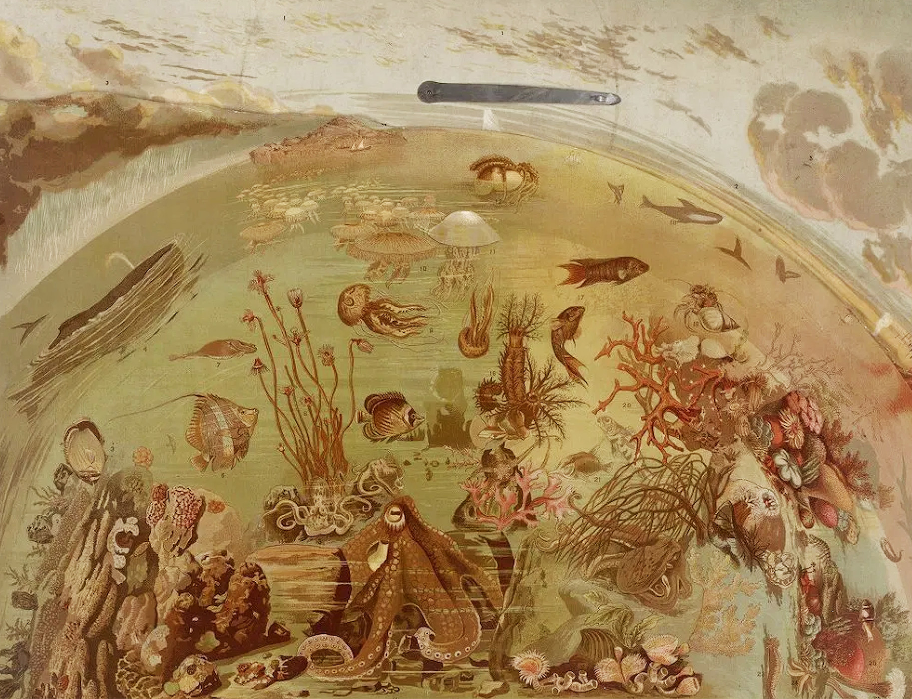 Conversation On Ecology Peter Wolfendale Thomas Moynihan 2