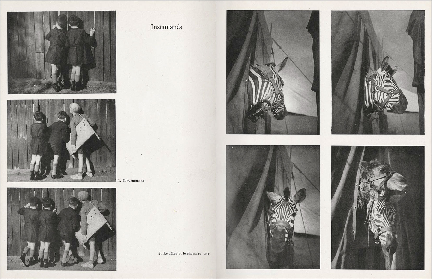 Brassai3