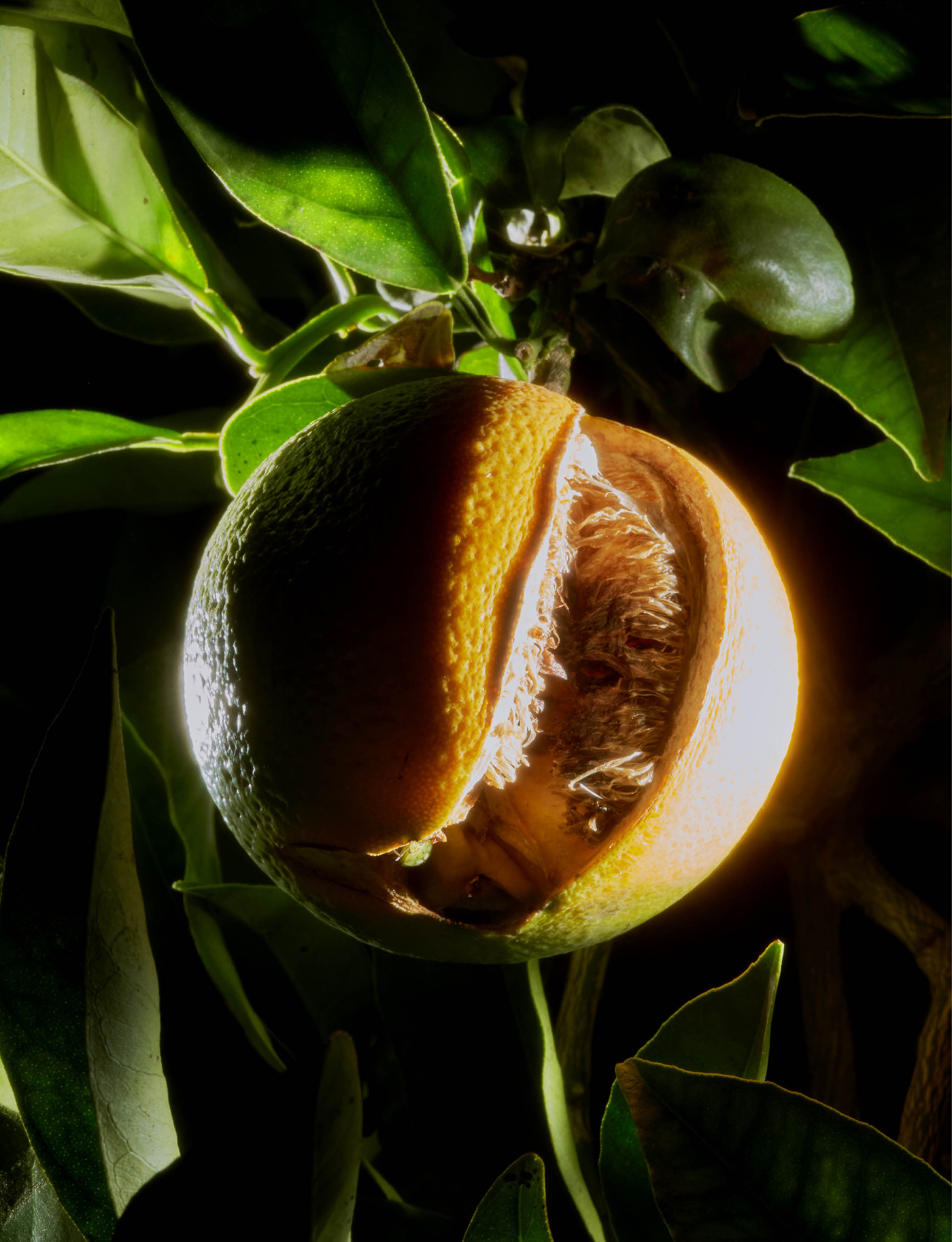 156 163 Feature Museros