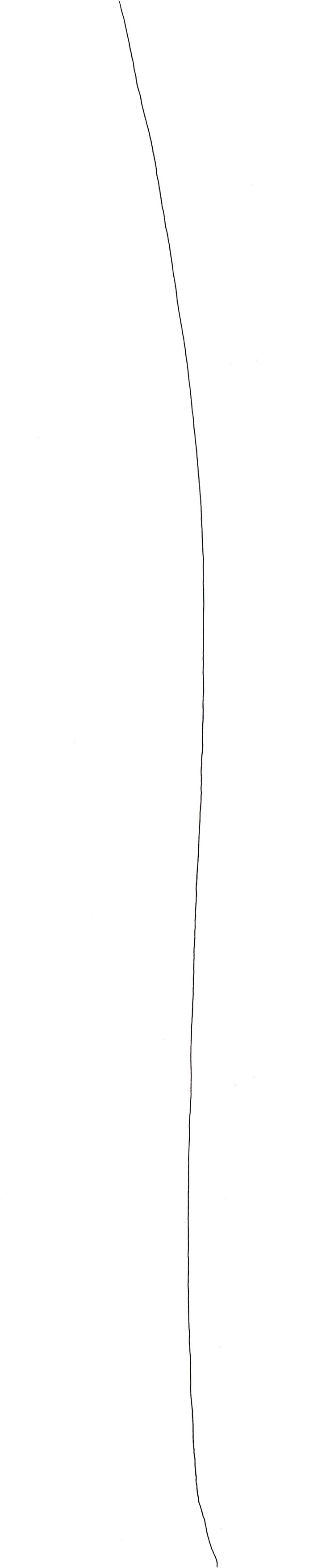 Fine Lines 1