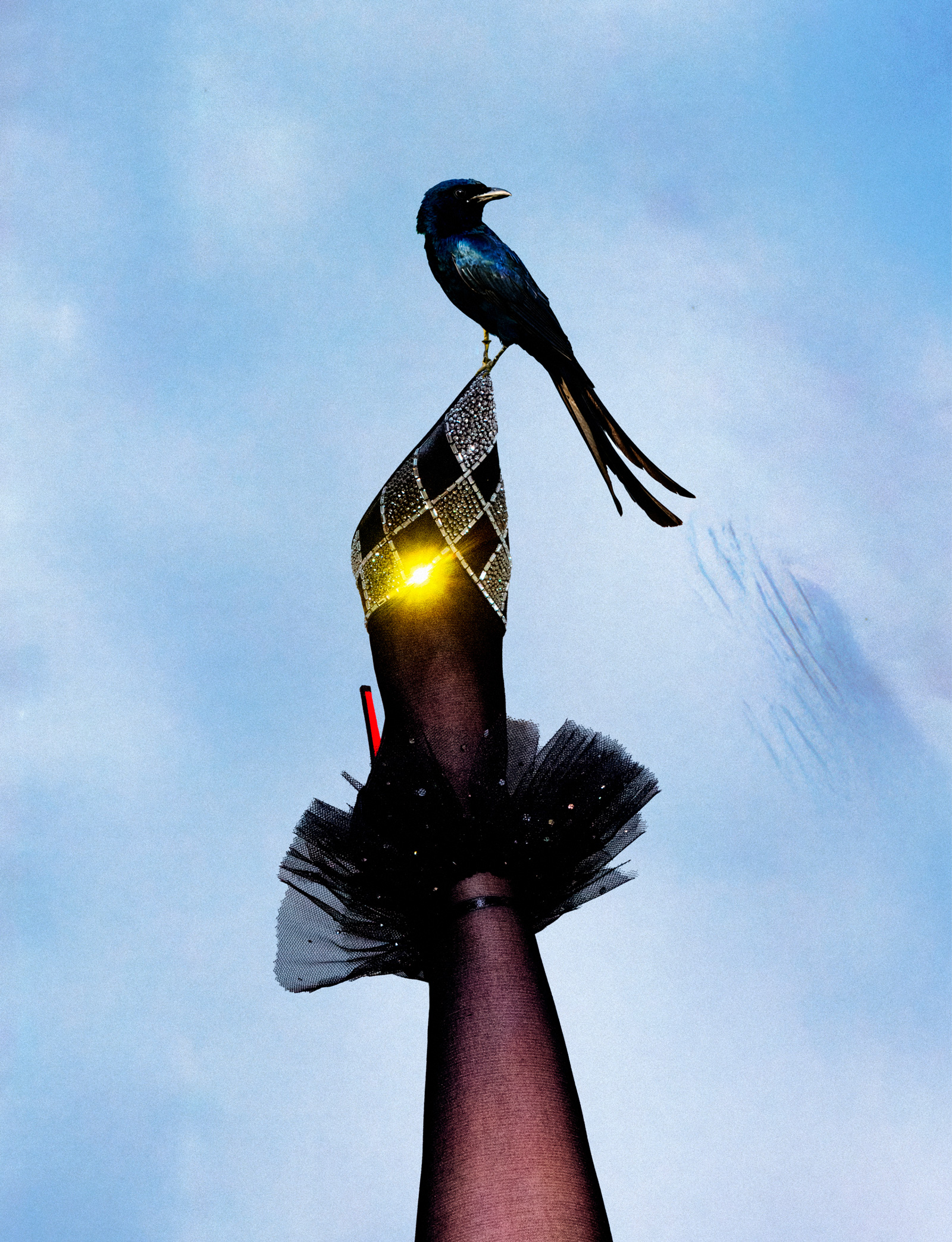 Fashion Louboutin Mateioctav 3