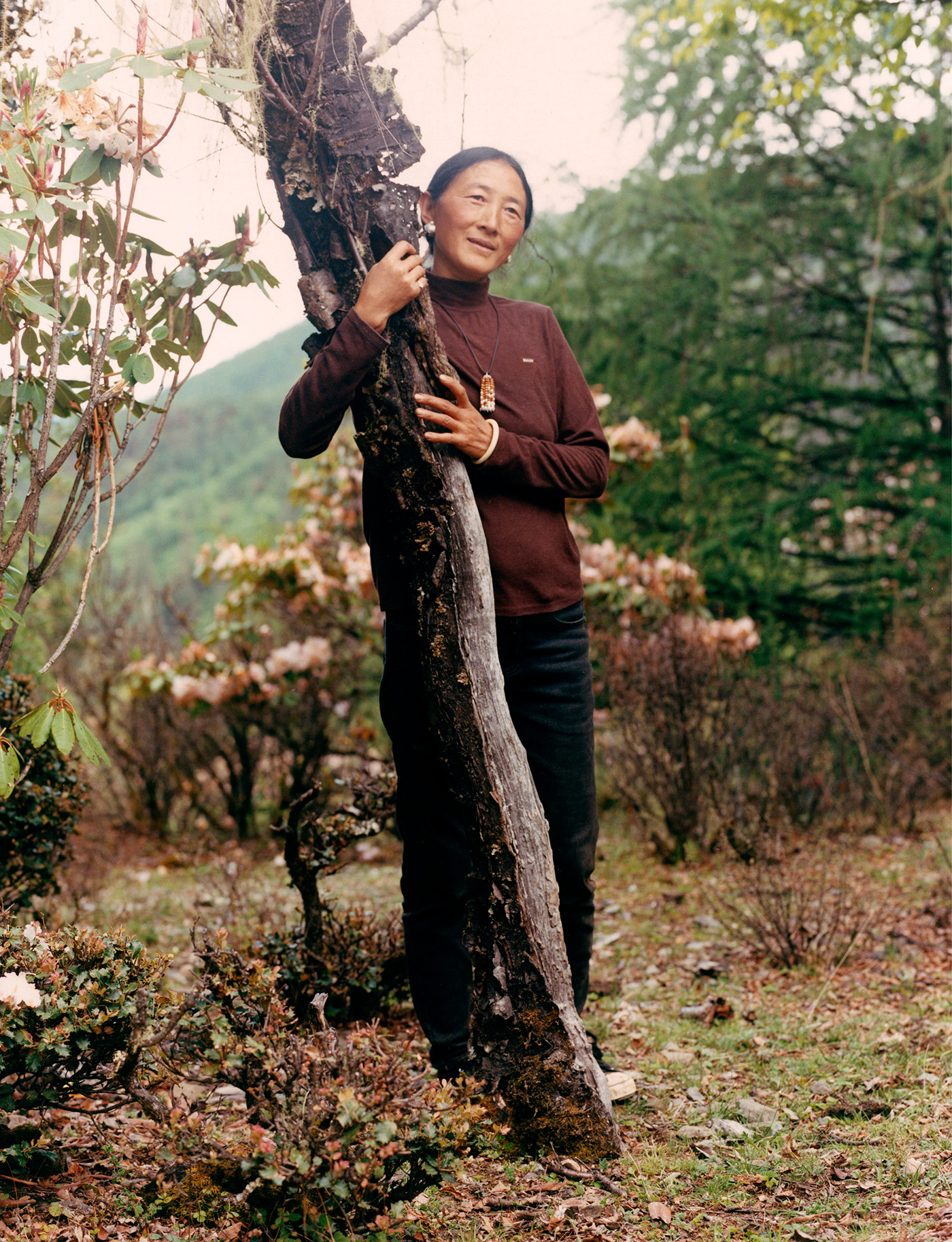 202 211 Fash Softmountains5