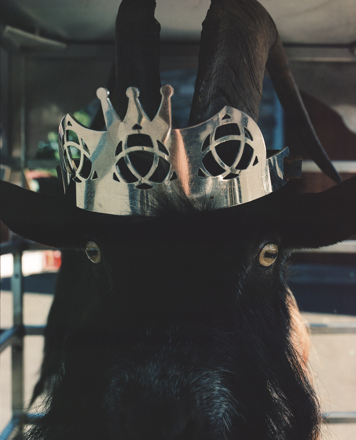 King Puck RGB