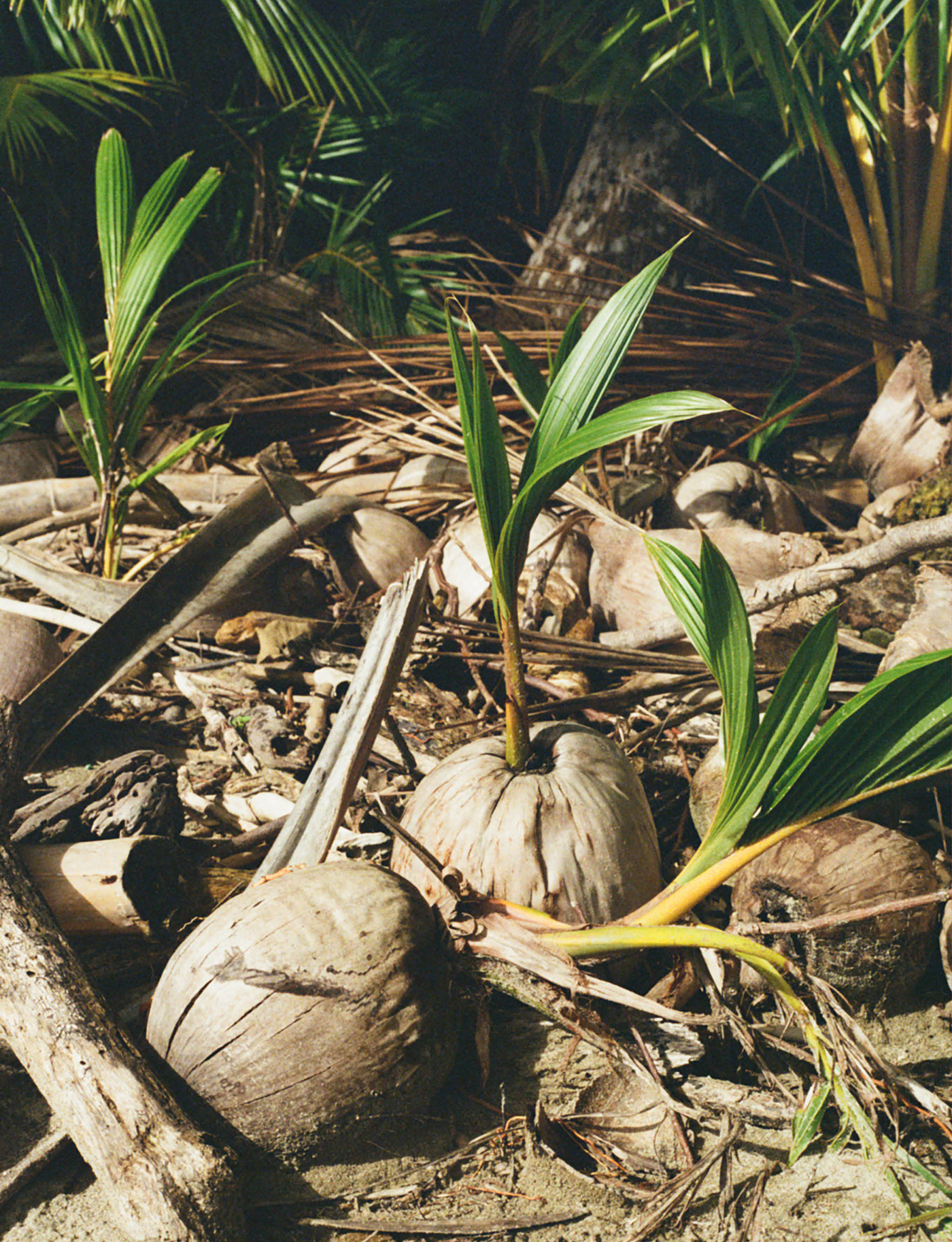 070 079 Feature Panama7