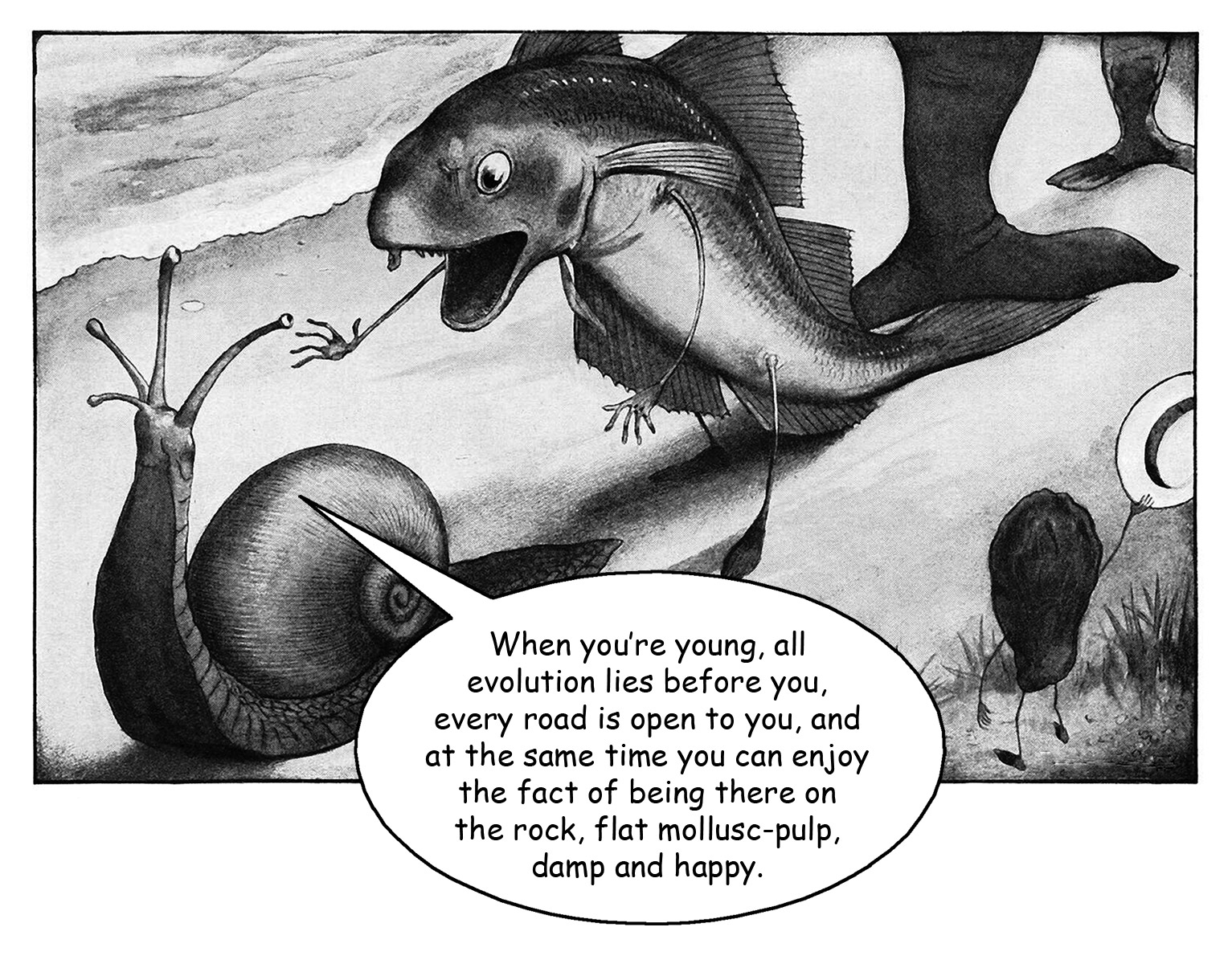 Mollusk