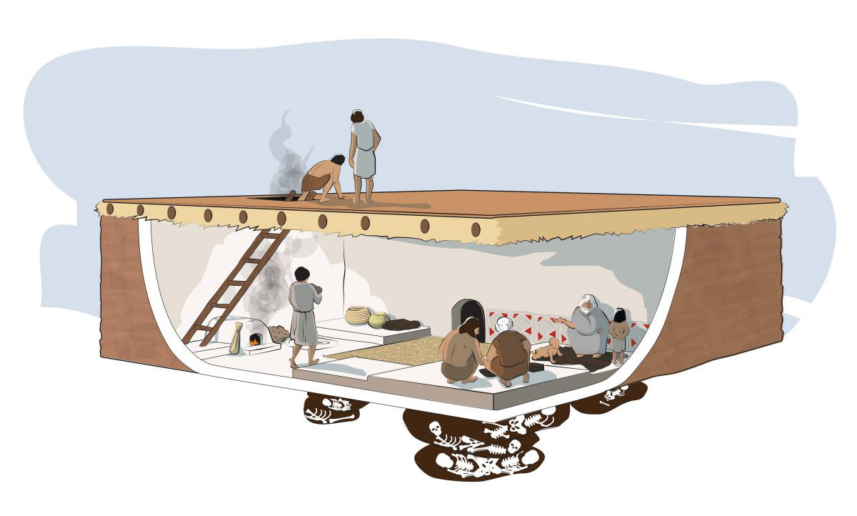 Housecutaway