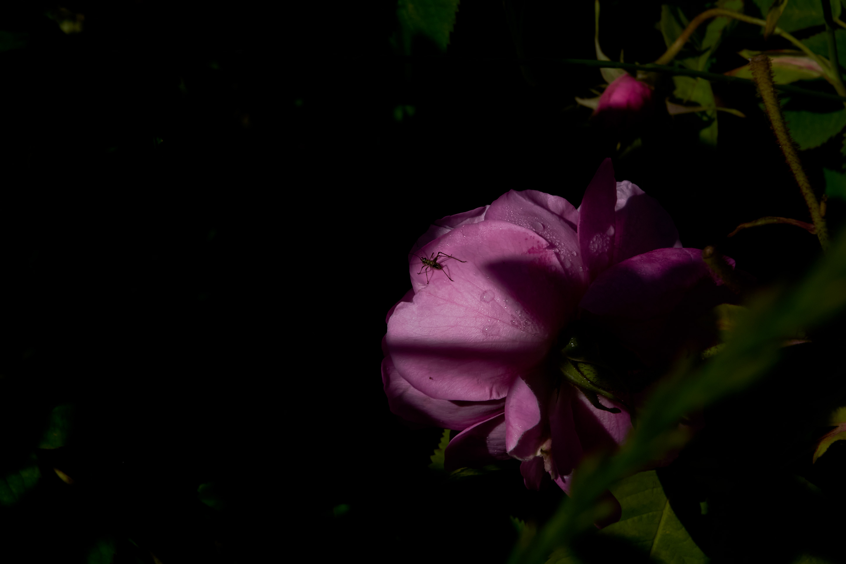 DSC0326