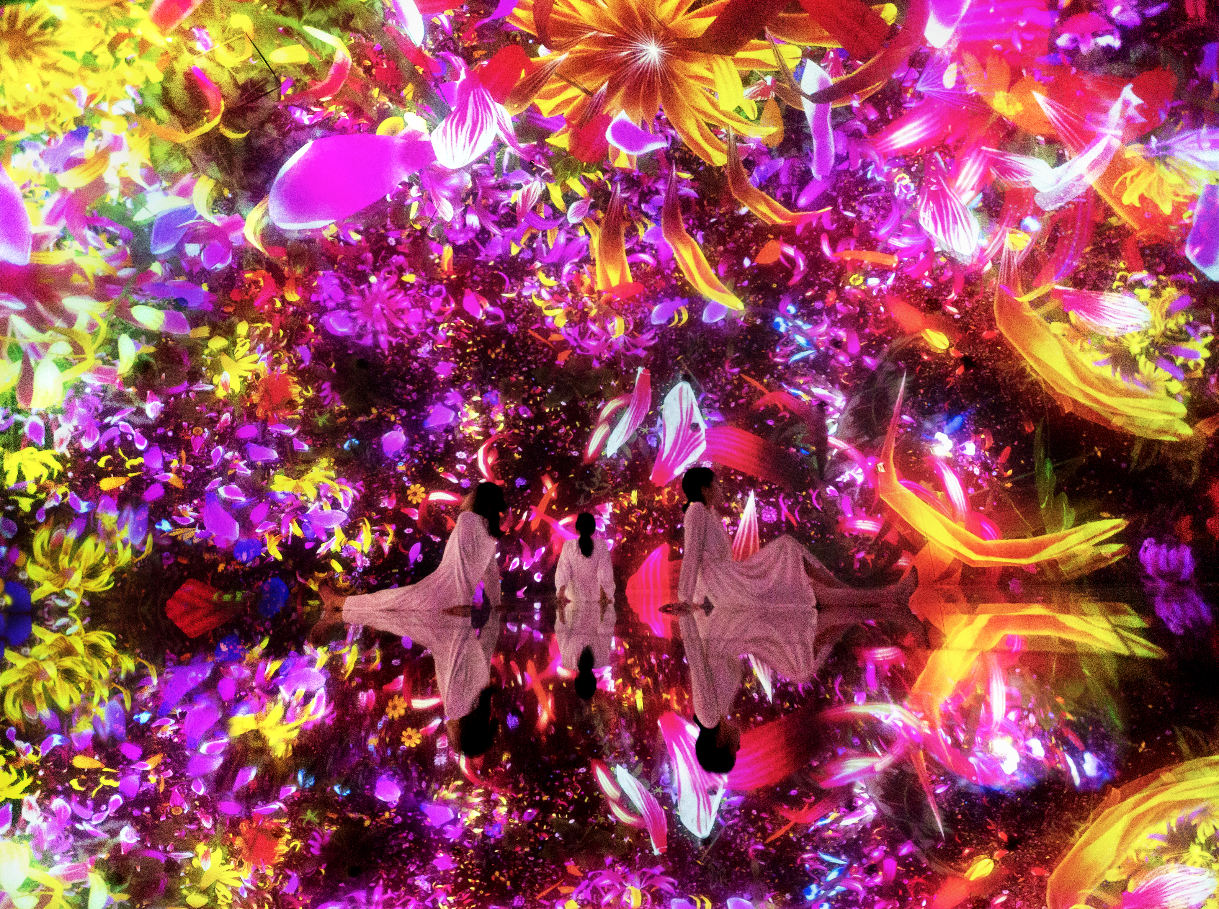 Main Floating In The Falling Universe Of Flowers Autumn